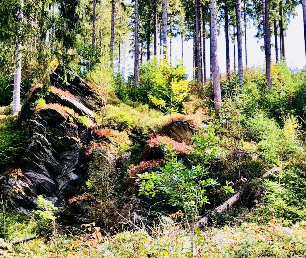 Hof Vierzehnender Im Hohen Venn - 70Qm Maisonette - 2 Schlafzimmer - Wohnkueche - Balkon Mit Grill - Monschau - Eifel - Hunde Willkommen - Islandpferde المظهر الخارجي الصورة