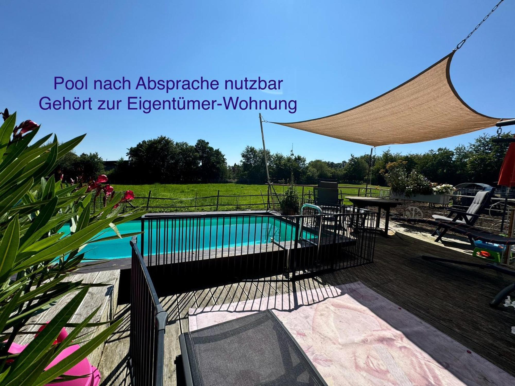 Hof Vierzehnender Im Hohen Venn - 70Qm Maisonette - 2 Schlafzimmer - Wohnkueche - Balkon Mit Grill - Monschau - Eifel - Hunde Willkommen - Islandpferde المظهر الخارجي الصورة